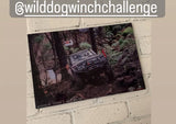CLIFFHANGER 2025 METAL PRINT