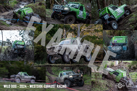 WILDDOG RND 5 2025 DIGITAL COLLAGE